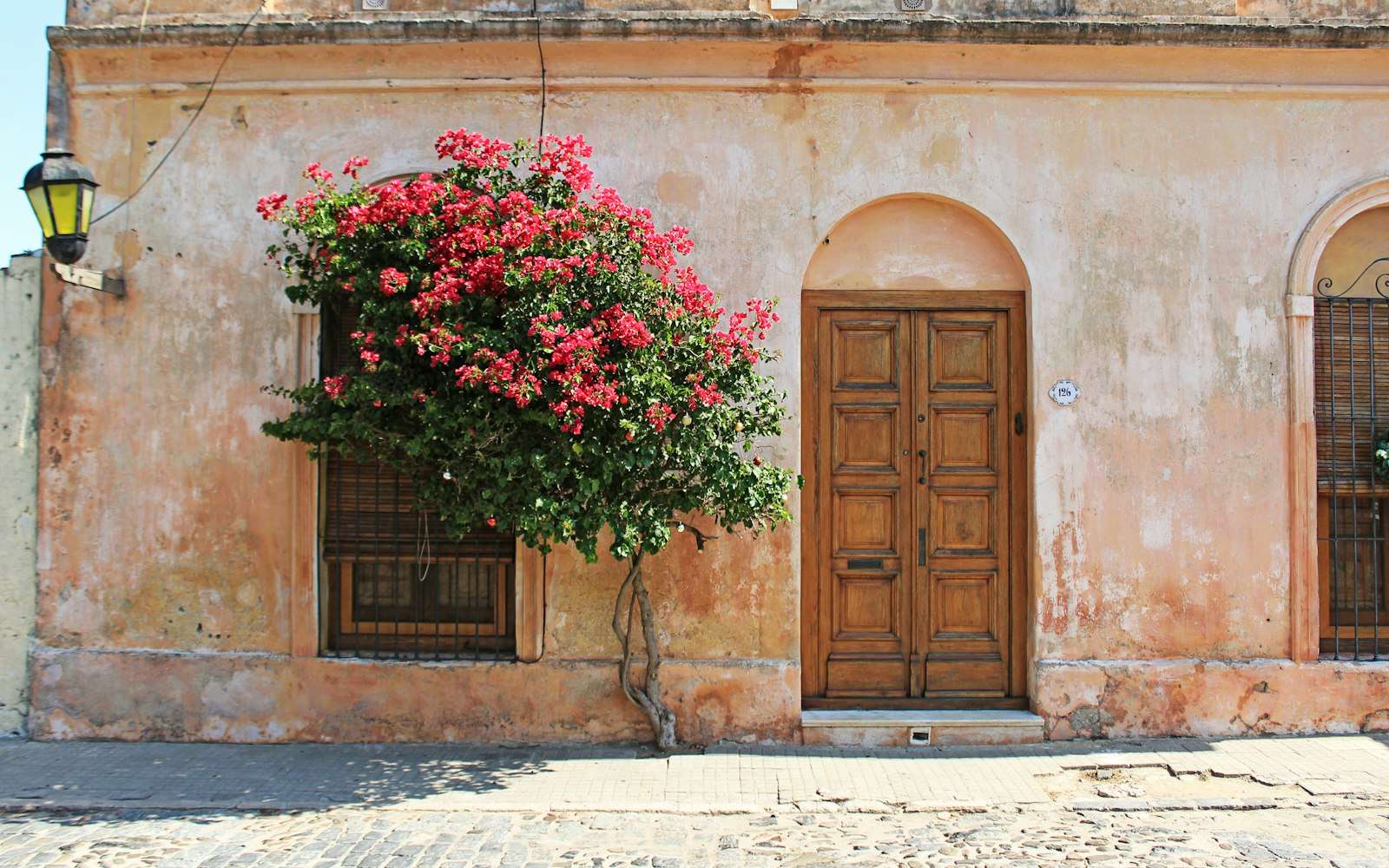 A bougainvillea doorway in Colonia's Barrio Histórico